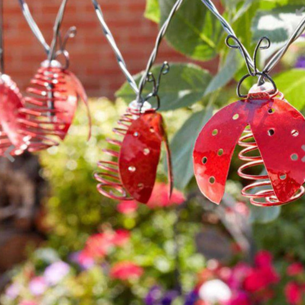 10 Ladybird String Lights