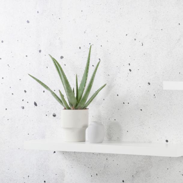 Duraline Floating Shelf XL4 Push Fix White Lacquered 38mm 80x23,5cm