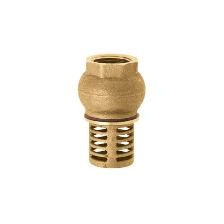 Easi Plumb 1/2" Foot Valve