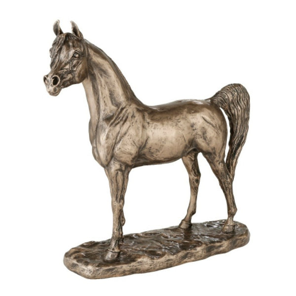 Genesis Bronze Arab Stallion Large