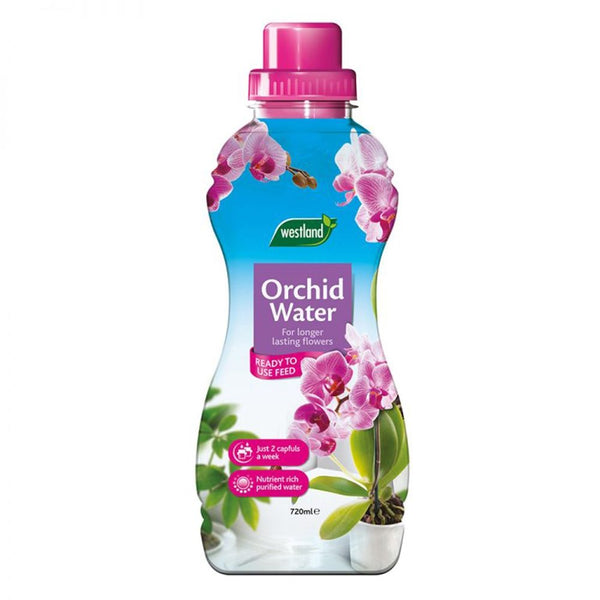 Westland Orchid Water