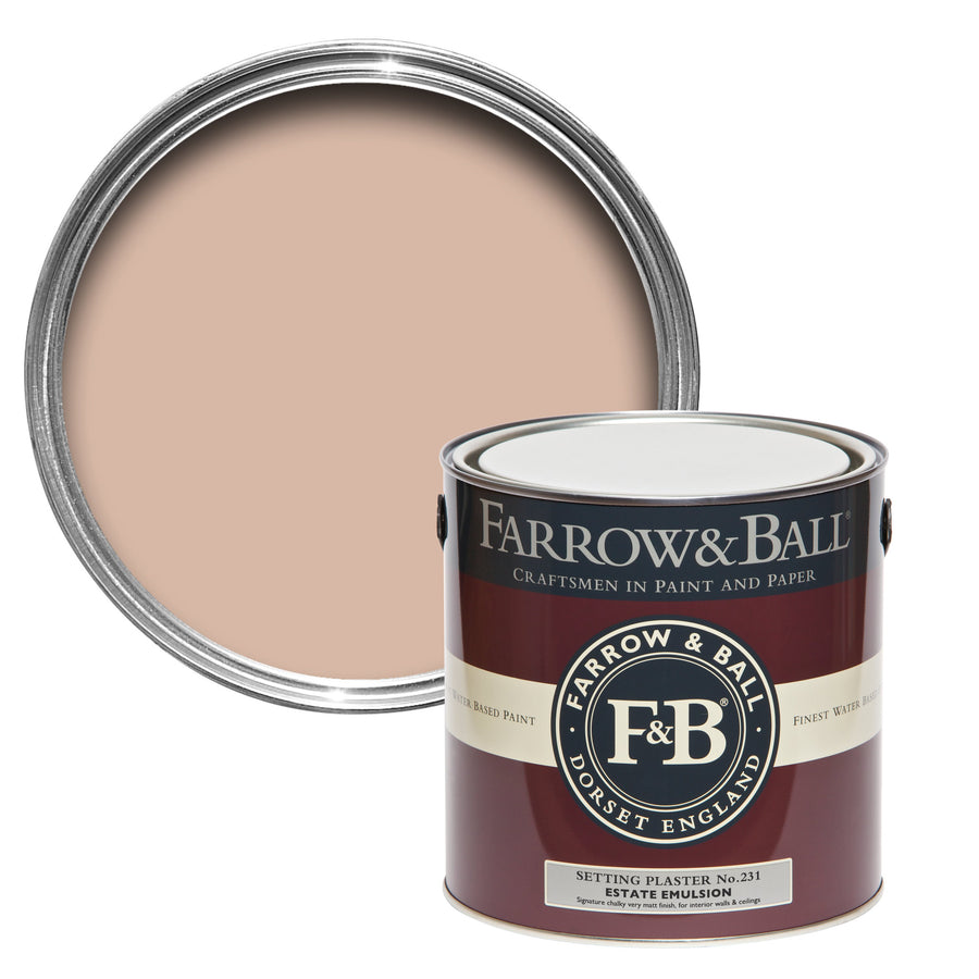 100ml Sample Pot Setting Plaster No.231 Farrow & Ball Paint Colour
